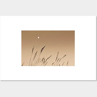 Moon on the Prairie Posters and Art